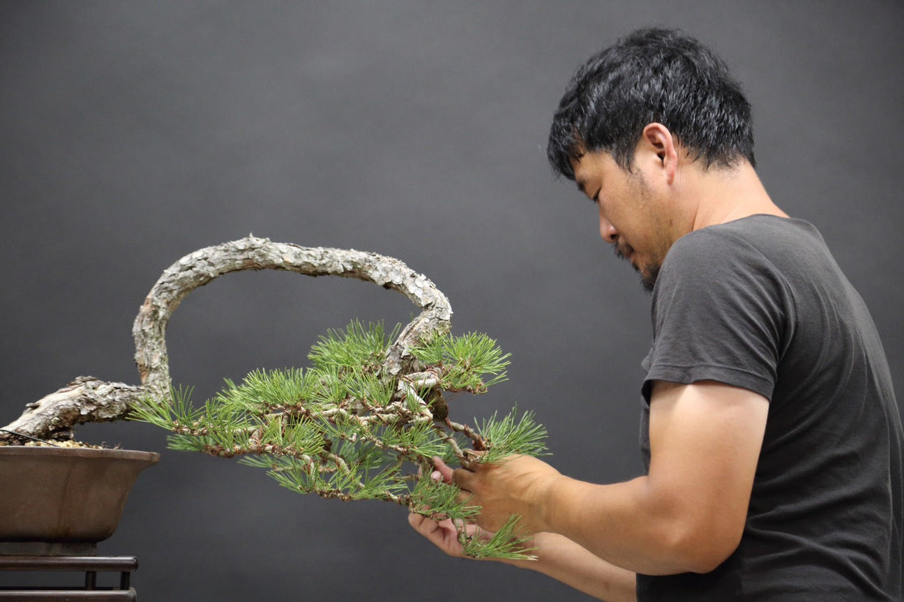 佐藤俊文の作品