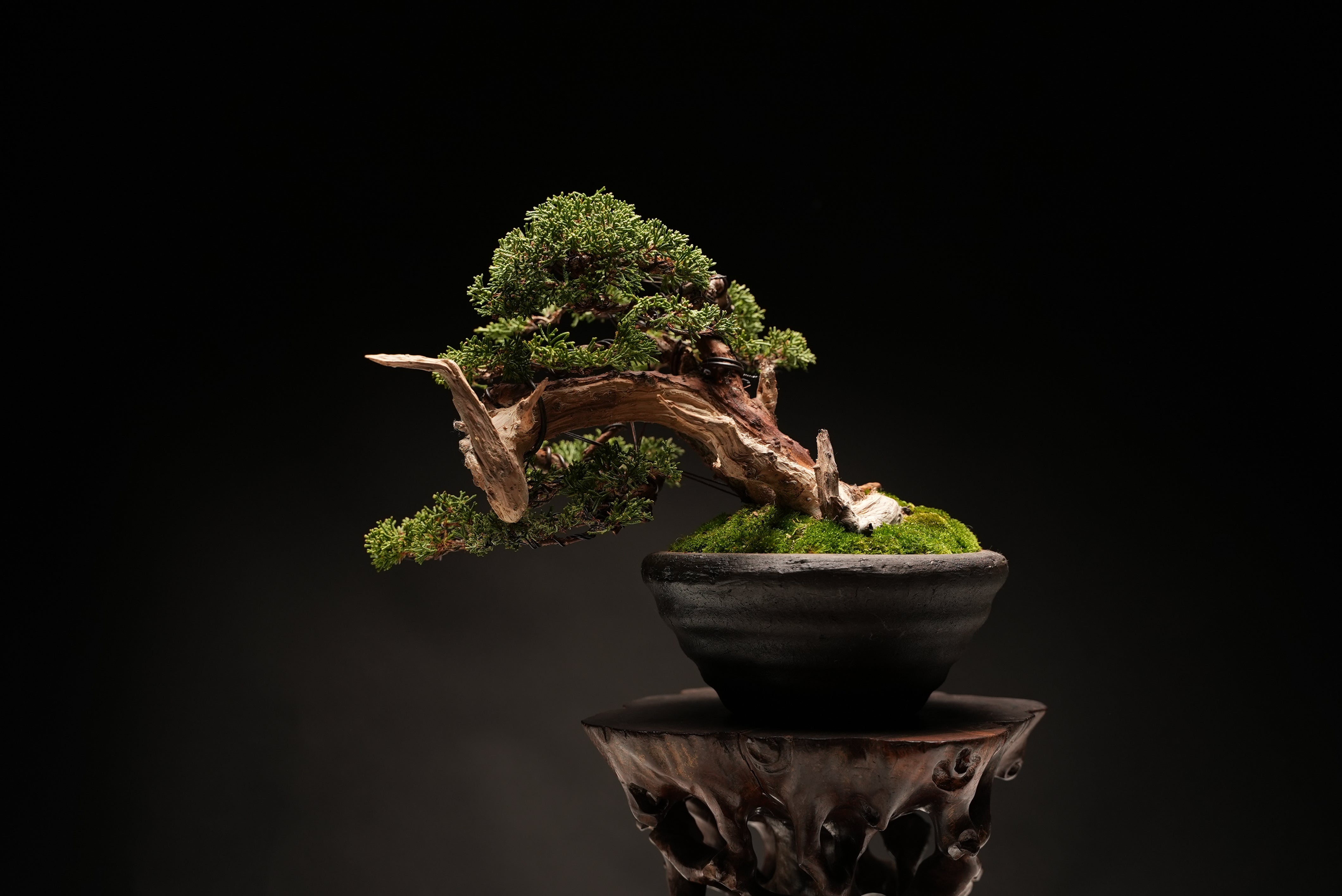 商品 – 平松春松園オンラインショップ
