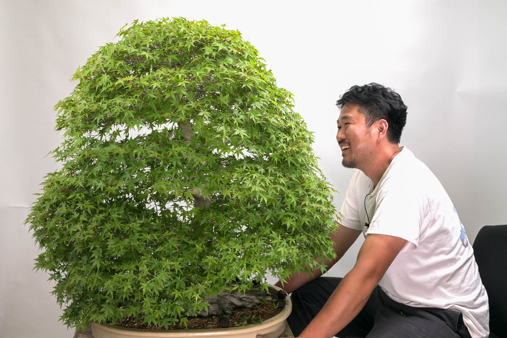 盆栽　鉢　緑巳斎春松　幅38cm 盆栽 鉢 緑巳斎春松 幅38cm