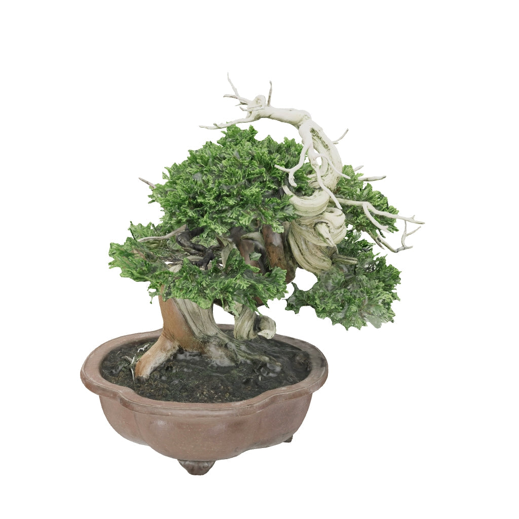 商品 – 平松春松園オンラインショップ